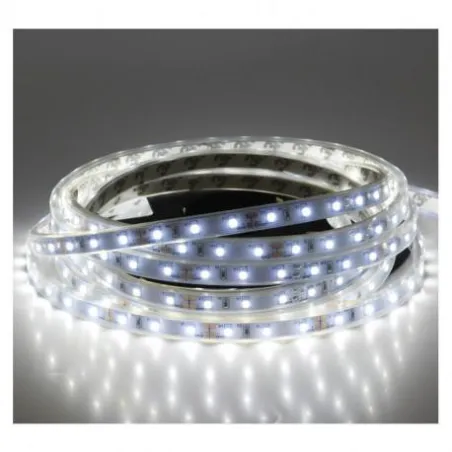BANDEAU BLC 6000K 5M 60LED ET 4.8W/M IP67 12V SILICON