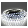 BANDEAU BLC 6000K 5M 60LED ET 4.8W/M IP67 12V SILICON