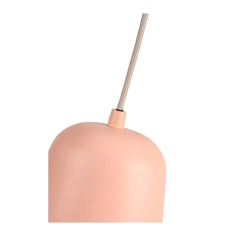 Rose Delight Suspension max20W E27 Rose 230V Métal