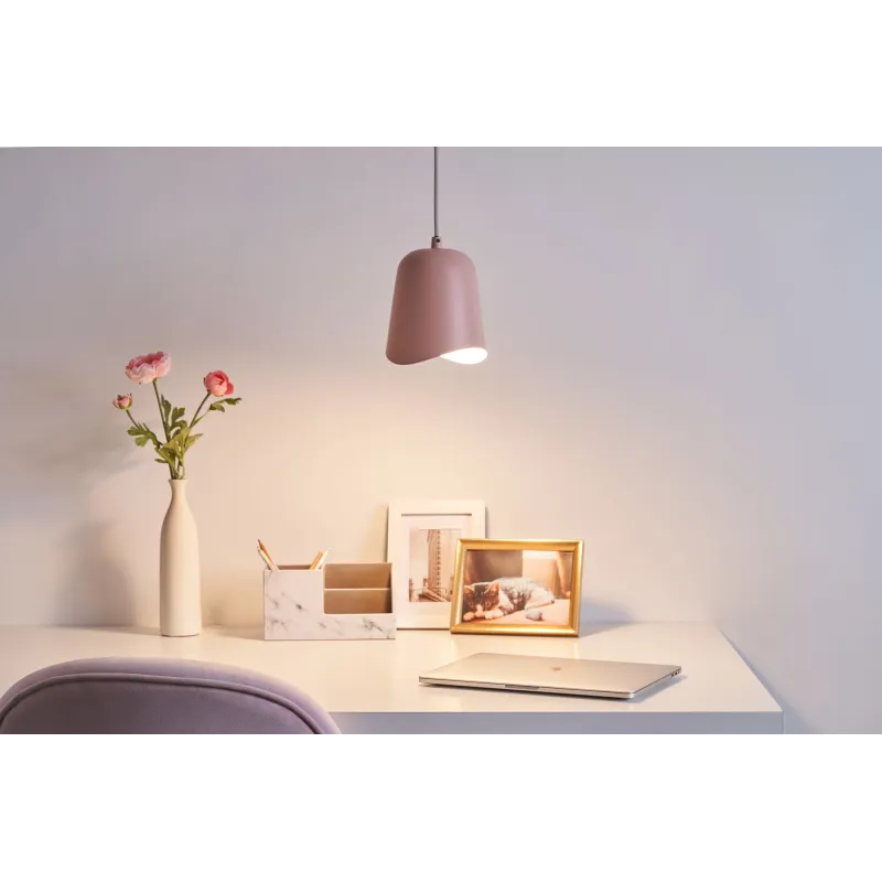 Rose Delight Suspension max20W E27 Rose 230V Métal