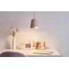 Rose Delight Suspension max20W E27 Rose 230V Métal