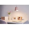 Rose Delight Suspension max20W E27 Rose 230V Métal
