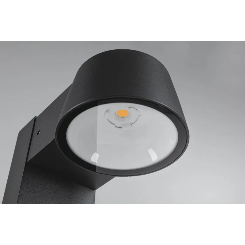 Borne lumineuse extérieur 230 V Capea IP44 2200K Alu noir, resp. insectes