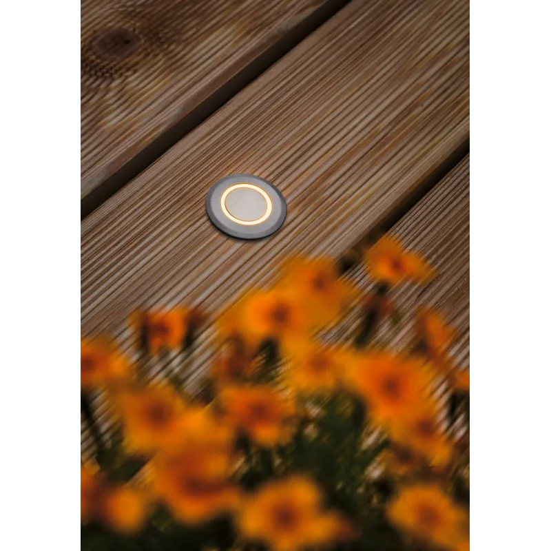 Encastré de sol extérieur 230 V déco IP67, 2,2 W, déco rond resp. insectes