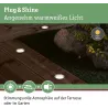 Luminaire encastré dans le sol Plug & Shine Floor Eco IP65 3000K 1W 24V argent
