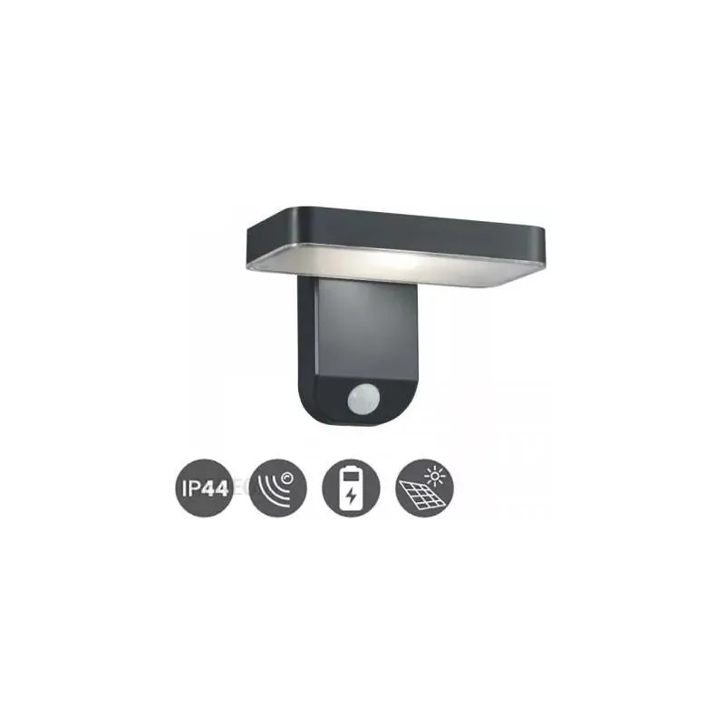 TRIO Applique extérieur antracite ESQUEL - Pas cher