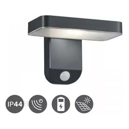 TRIO Applique extérieur antracite ESQUEL - Pas cher