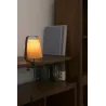 STOOD Lampe avec pince noire et bois