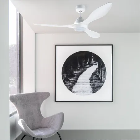 POLARIS L LED Ventilateur blanc DC