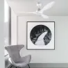 POLARIS L LED Ventilateur blanc DC