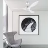POLARIS L LED Ventilateur blanc DC SMART