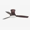 TONSAY L Ventilateur marron