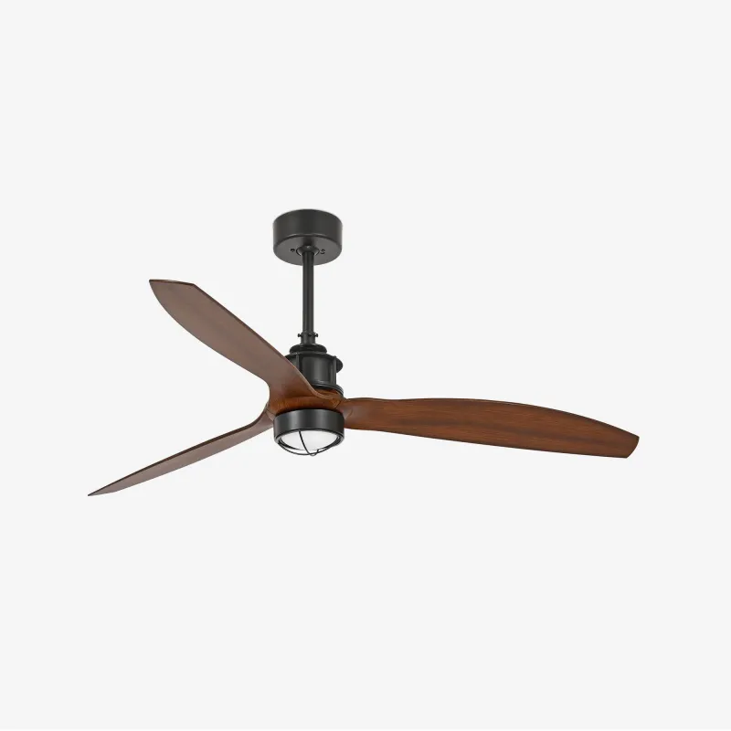 JUST FAN M LED Ventilateur noir/bois DC