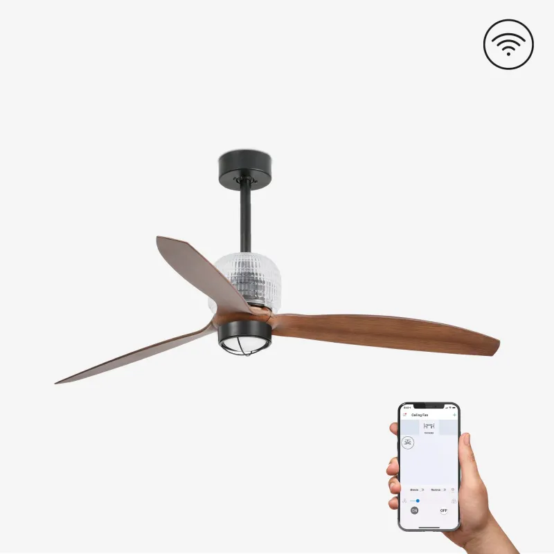 DECO FAN M LED Ventilateur noir/bois DC SMART