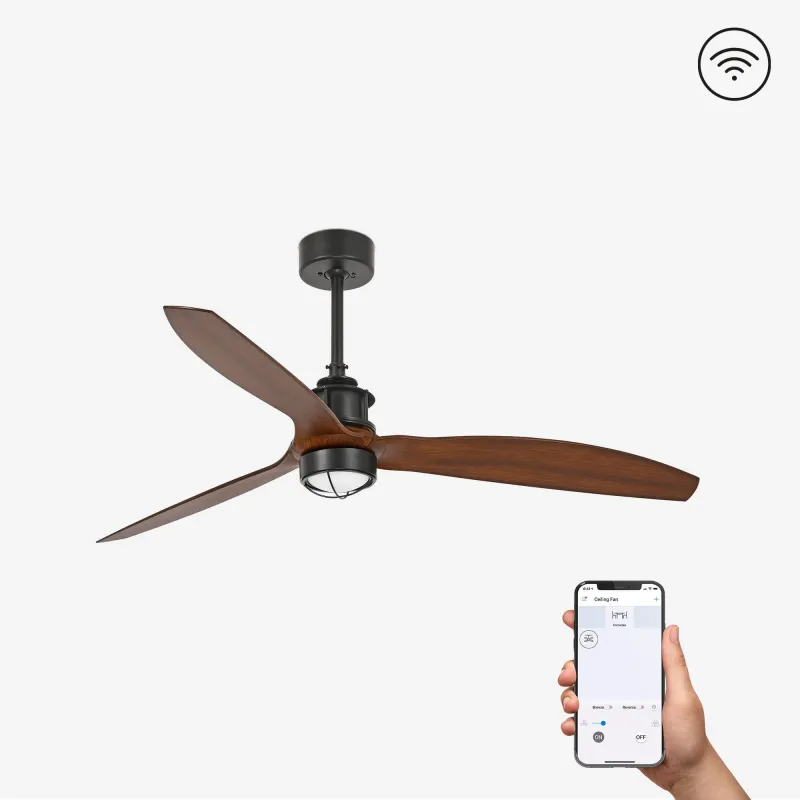 JUST FAN M LED Ventilateur noir/bois DC SMART