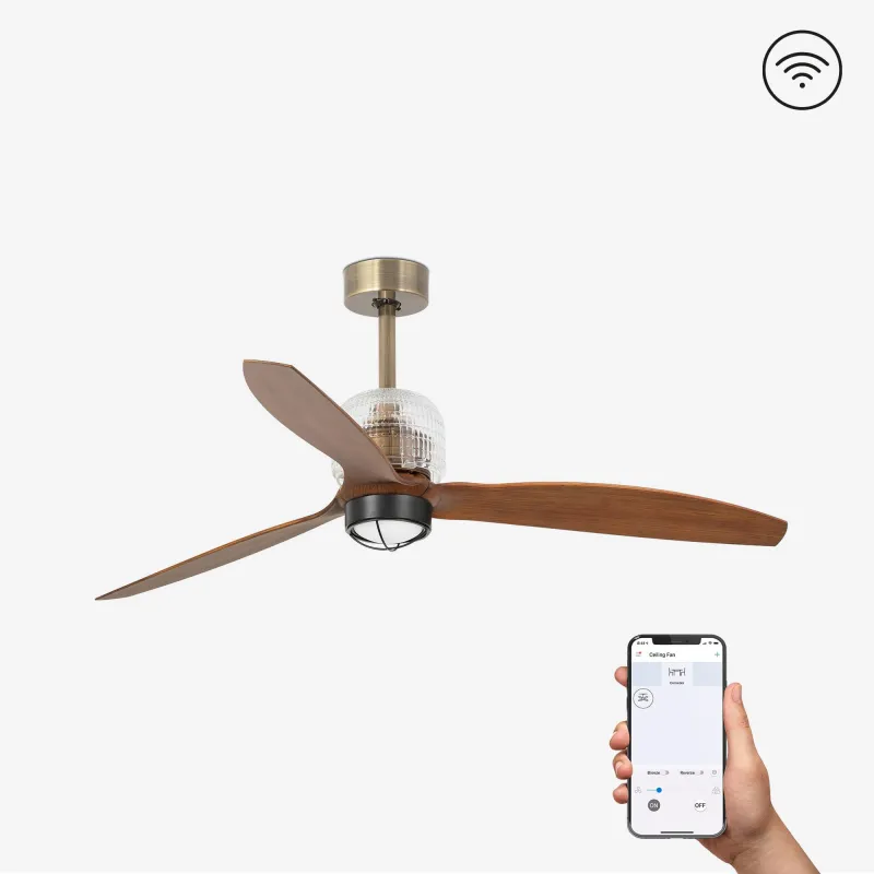 DECO FAN M LED Ventilateur or/bois DC SMART