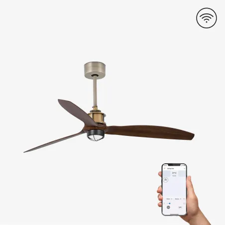 JUST FAN M LED Ventilateur or vielli/bois DC SMART