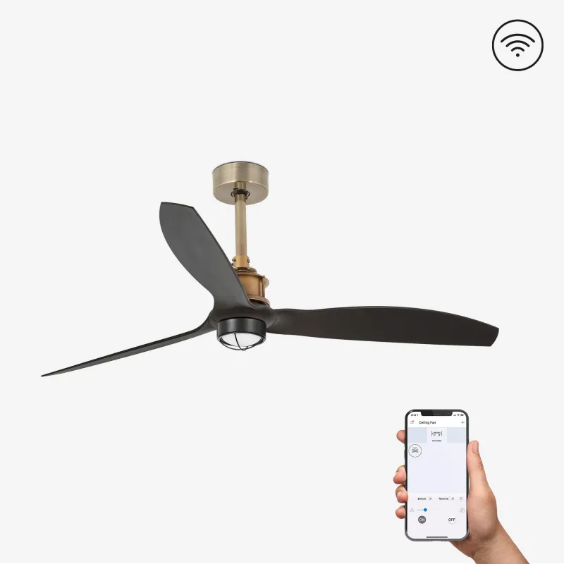 JUST FAN M LED Ventilateur or vielli/noir SMART