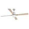 PALK L Ventilateur nickel DC