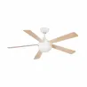IZARO L LED Ventilateur blanche DC