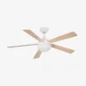 IZARO L LED Ventilateur blanche DC