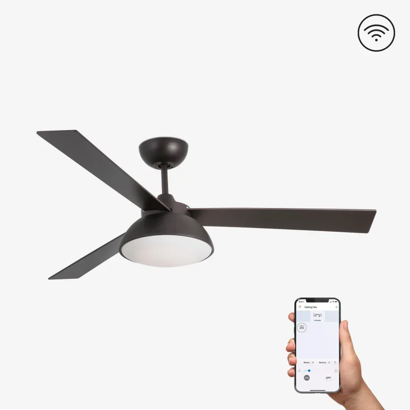 RODAS L LED Ventilateur marron DC SMART