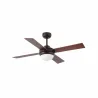 MINI ICARIA S Ventilateur rouille