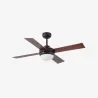 MINI ICARIA S Ventilateur rouille