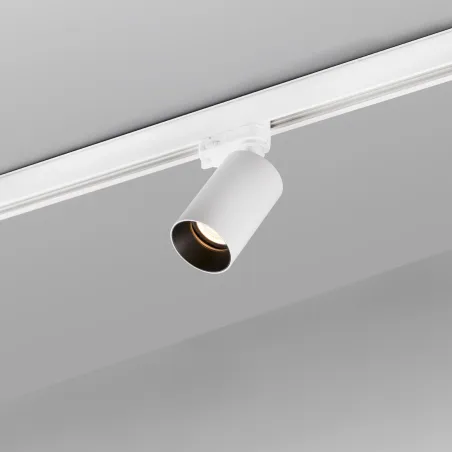 STAN Projecteur sur carril blanc