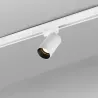 STAN Projecteur sur carril blanc