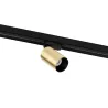 STAN LED Projecteur sur carril or satiné