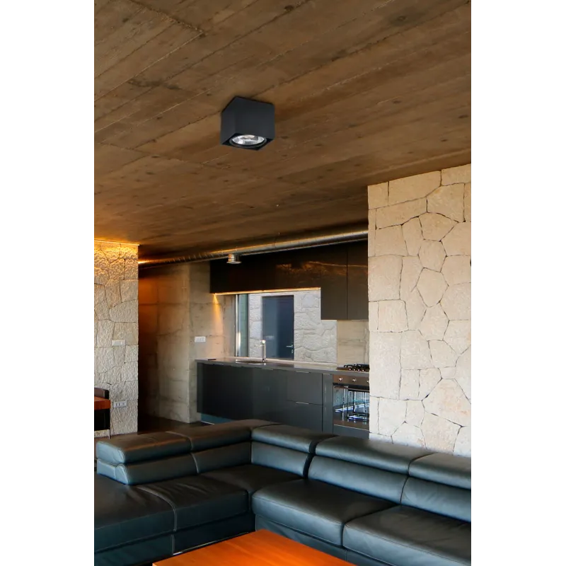TECTO AR111 Plafonnier noire