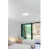AMI Plafonnier aluminium