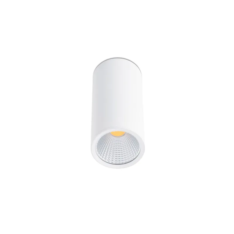 REL 75 Plafonnier blanc