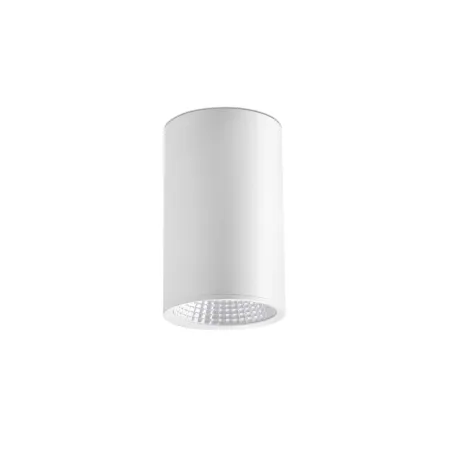 REL 100 Plafonnier blanc