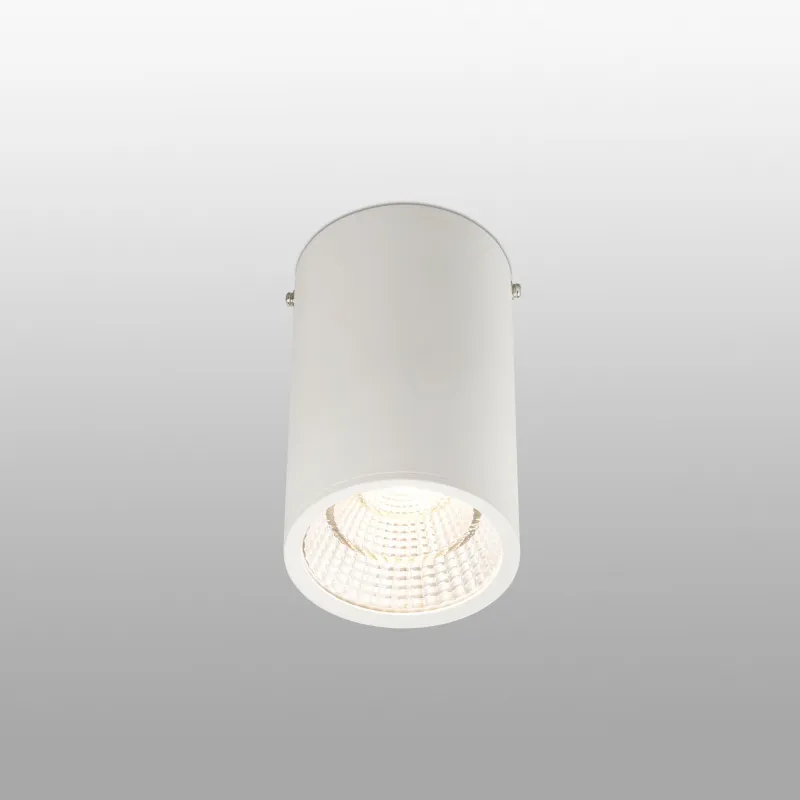 REL 100 Plafonnier blanc