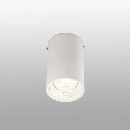 REL 100 Plafonnier blanc