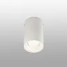 REL 100 Plafonnier blanc