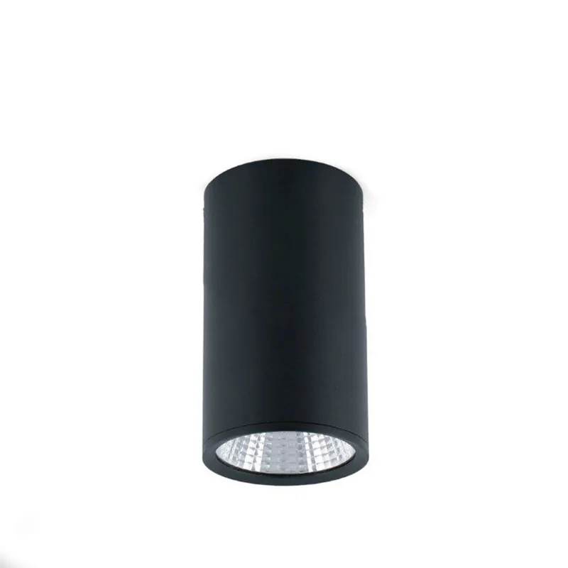 REL 100 Plafonnier noir