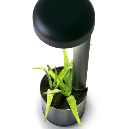 GROW Lampe balise gris foncé