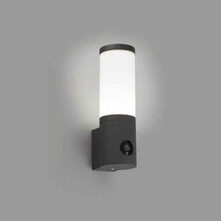 orwell-lampe-applique-gris-fonce-avec-camera-wifi-smart-connecte