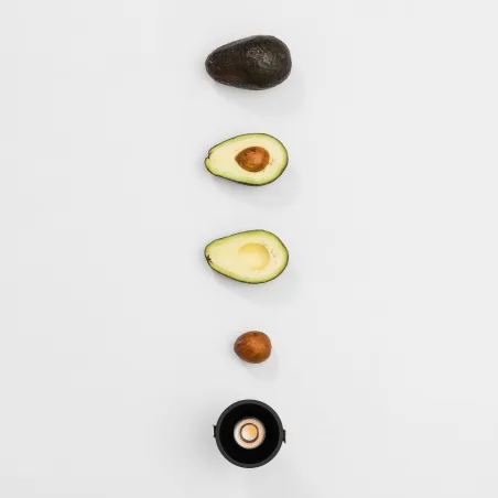 TULIPA downlight encastrable noir 10W 55° 4000K CRI90 triac