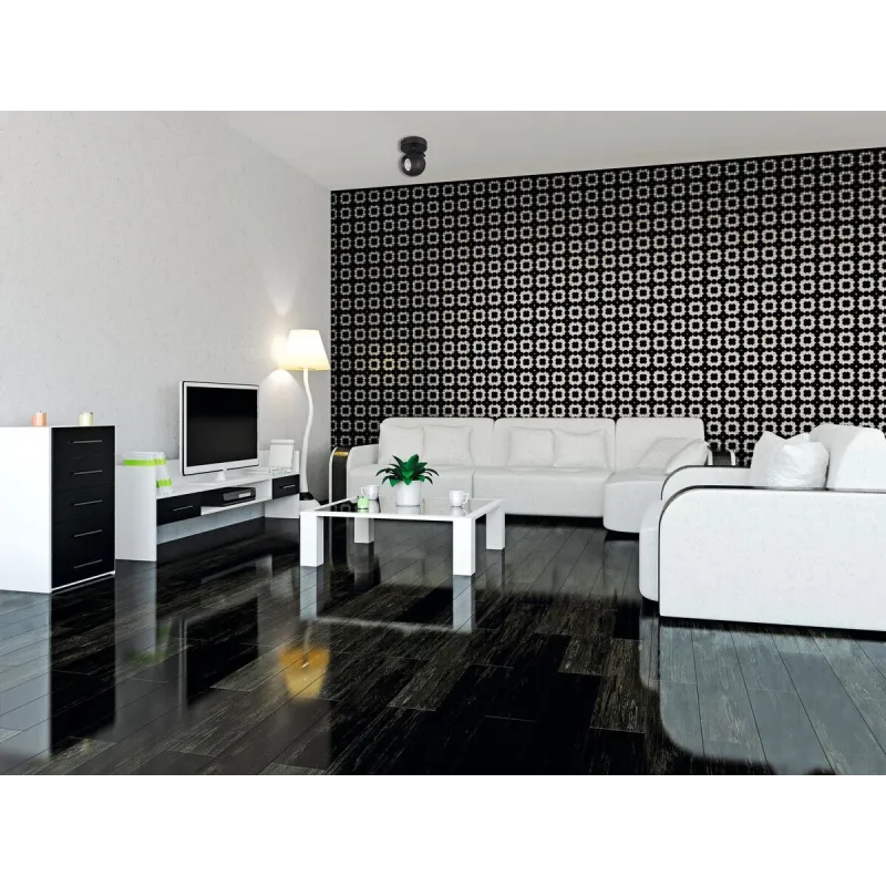 Plafonnier noir applique 1 tête orientable GALOBA EL-1O B