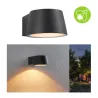 Applique extérieure 230 V Capea IP44 2200K Alu anthracite resp. insectes