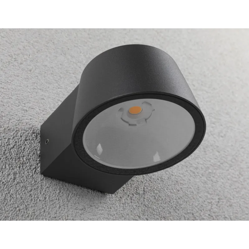 Applique extérieure 230 V Capea IP44 2200K Alu anthracite resp. insectes
