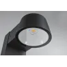 Borne lumineuse extérieur 230 V Capea IP44 2200K Alu anthracite resp. insectes