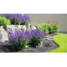 projecteur-spot-piquet-de-jardin-exterieur-gris-anthracite-gu10