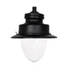 tete-de-candelabre-40w-led-philips-6000-lumens-variable-1-10v-eclairage-public-parking-routier