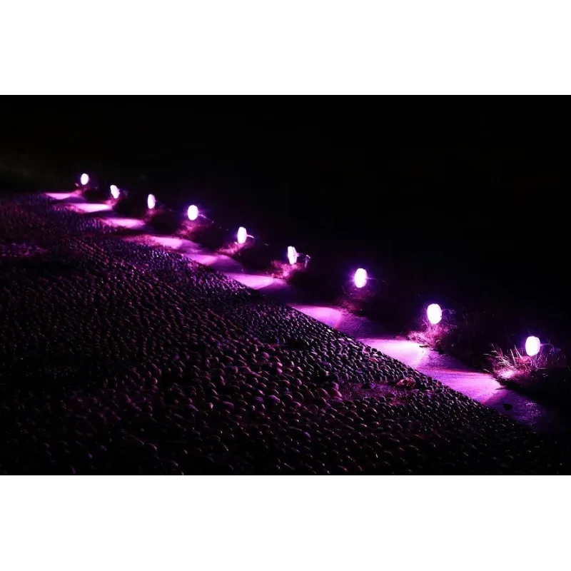 guirlande-9-spots-a-planter-wifi-rgbw-5-led-220v-ip65-application-tuya-