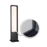 Borne lumineuse LED Reana IP44 832mm 3000K 2x4W 2x240lm 230V Anthracite Métal
